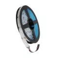 GLOBOSTAR® BEE  Ταινία LED 19.2W/m 1728lm/m 120° DC 24V IP20 784 x COB Chip/m Πολύχρωμο RGB+WW Dimmable - Sanan COB Chip - Μ500 x Π1.2 x Υ0.2cm - Ρολό 5 Μέτρων