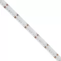 GLOBOSTAR® BEE  Ταινία LED 19.2W/m 1728lm/m 120° DC 24V IP20 784 x COB Chip/m Πολύχρωμο RGB+WW Dimmable - Sanan COB Chip - Μ500 x Π1.2 x Υ0.2cm - Ρολό 5 Μέτρων