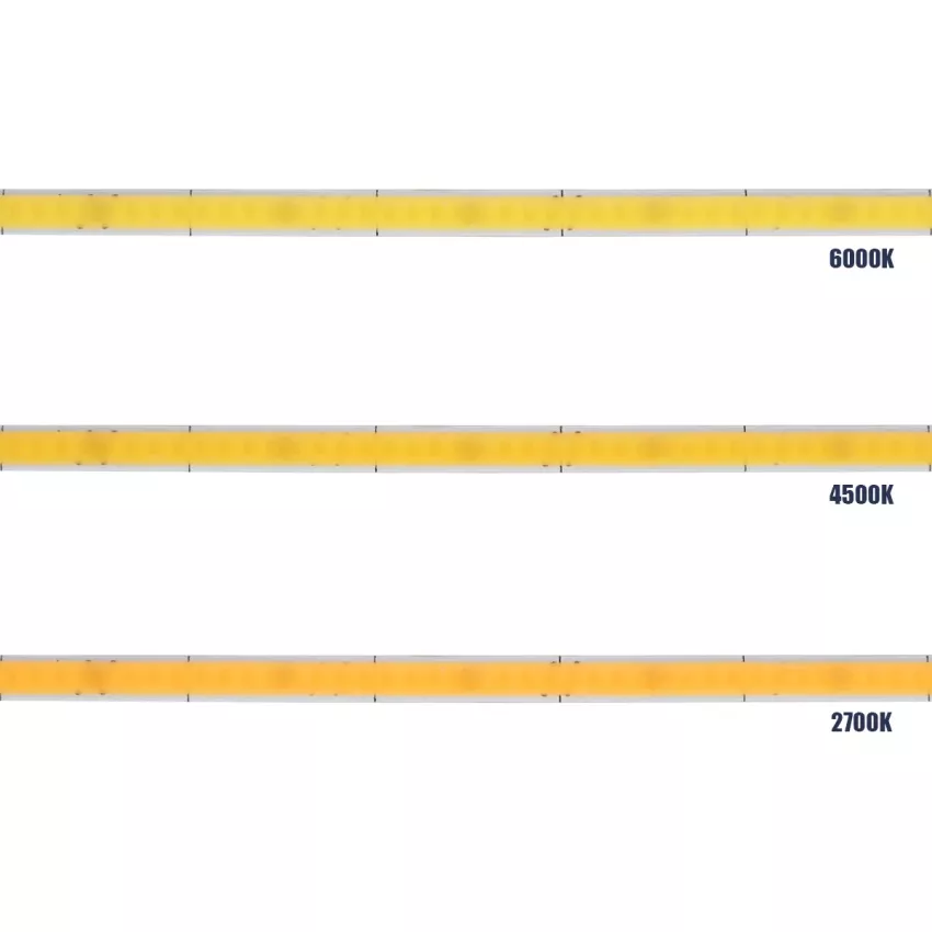 GLOBOSTAR® BEE  Ταινία LED 9W/m 990lm/m 120° DC 24V IP20 384 x COB Chip/m Ψυχρό Λευκό 6000K Dimmable - Μ500 x Π0.5 x Υ0.2cm - Ρολό 5 Μέτρων