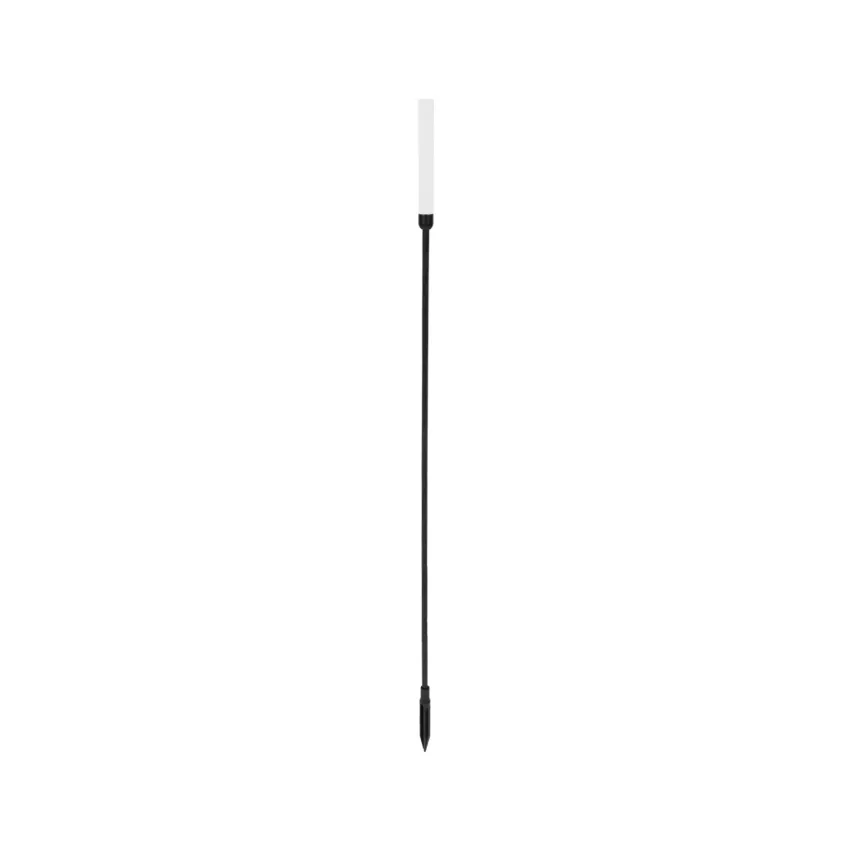 GLOBOSTAR® REED  Φωτιστικό Κολωνάκι Κήπου με Καρφωτή Βάση LED 2W 180lm 360° DC 24V Αδιάβροχο IP65 Θερμό Λευκό 2700K - Sanan SMD Chip - Μαύρο Ματ - Μ2 x Π2 x Υ100cm