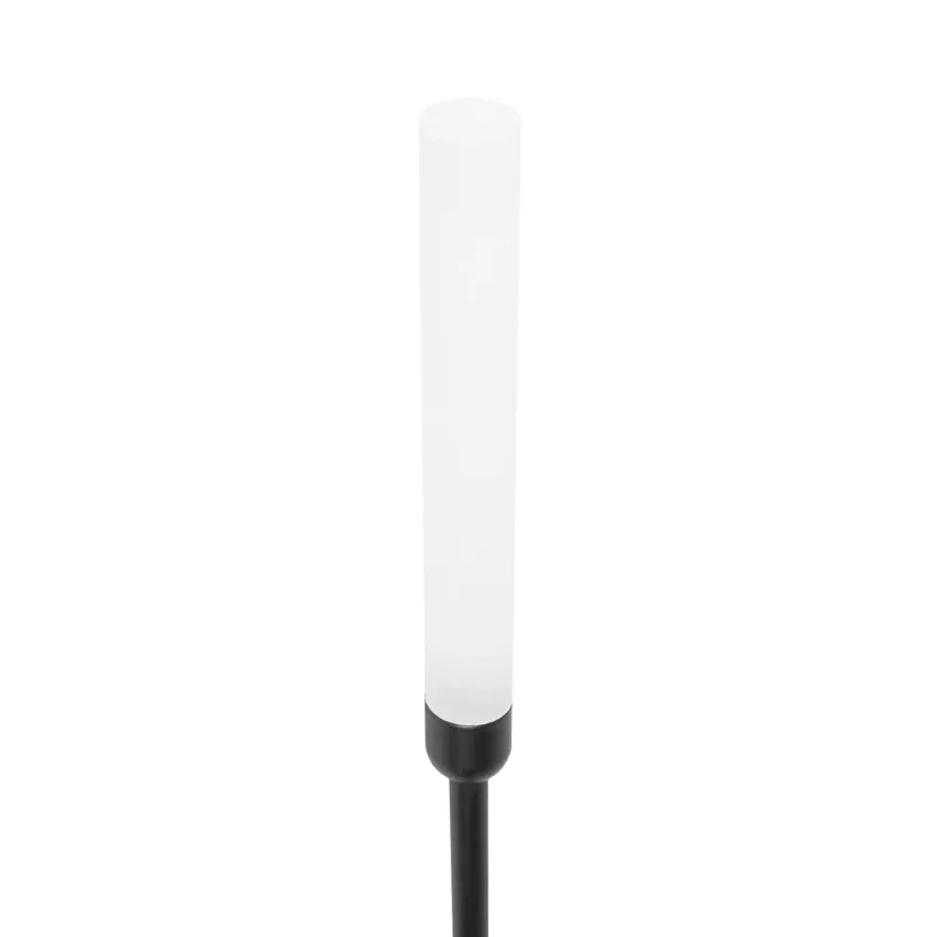 GLOBOSTAR® REED  Φωτιστικό Κολωνάκι Κήπου με Καρφωτή Βάση LED 2W 180lm 360° DC 24V Αδιάβροχο IP65 Θερμό Λευκό 2700K - Sanan SMD Chip - Μαύρο Ματ - Μ2 x Π2 x Υ80cm