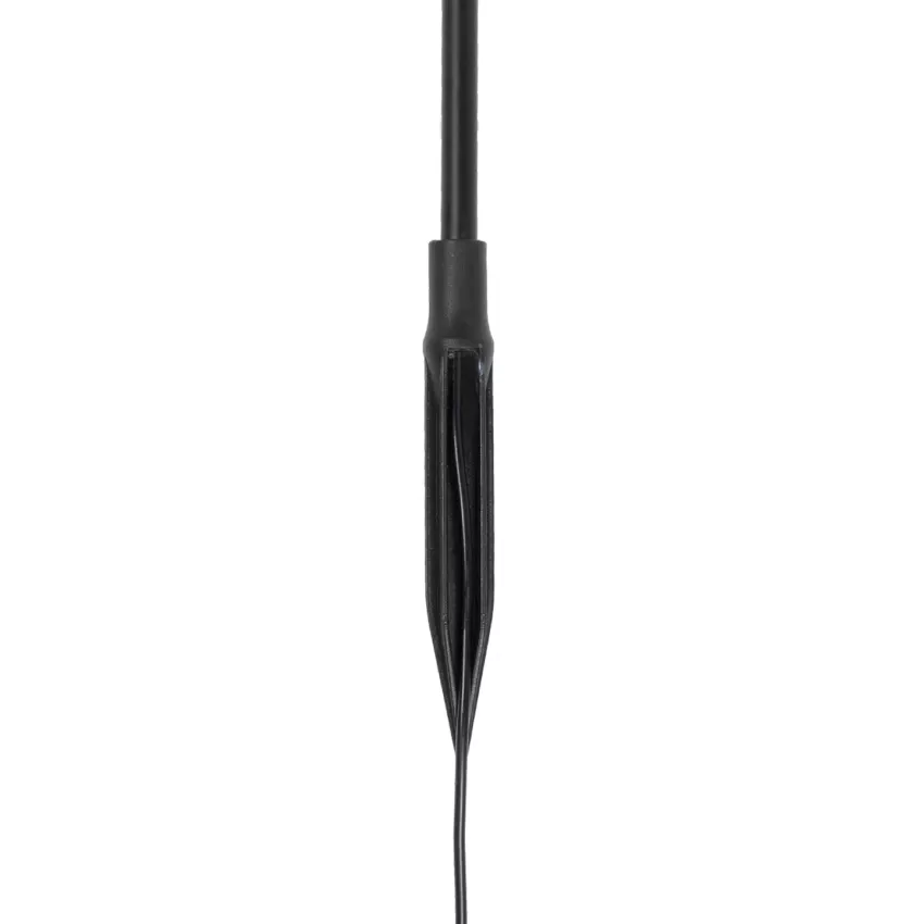GLOBOSTAR® REED  Φωτιστικό Κολωνάκι Κήπου με Καρφωτή Βάση LED 2W 180lm 360° DC 24V Αδιάβροχο IP65 Θερμό Λευκό 2700K - Sanan SMD Chip - Μαύρο Ματ - Μ2 x Π2 x Υ80cm