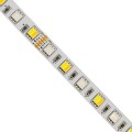 Πολύχρωμη Ταινία LED SMD 5050 RGBW + WW 5 μέτρα, 18W/m, 72LED/m 120° DC 24V για Ψυχρό & Θερμό Λευκό Φωτισμό Εσωτερικών Χώρων