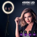Professional Digital Ring Light Φ36cm LED SMD 50W 5000lm 180° AC 230V με Καλώδιο Τροφοδοσίας Πρίζας - Ασύρματο Χειριστήριο RF 2.4Ghz Εναλλαγής Χρωμάτων & 3 Βάσεις Τηλεφώνου - Πολύχρωμο RGBW+WW Dimmable