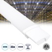 GLOBOSTAR® BIOMI  Γραμμικό Βιομηχανικό Φωτιστικό Tri-Proof LED 36W 4058lm 120° AC 220-240V Αδιάβροχο IP65 Ψυχρό Λευκό 6000K - Lumileds SMD Chip - Μ120 x Π6 x Υ4cm