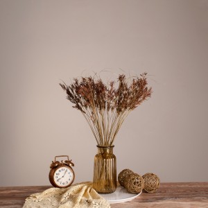 CYPERUS  Αποξηραμένο Φυτό Κύπειρος - Μπουκέτο Διακοσμητικών Κλαδιών Μπεζ - Καφέ Υ60cm CYPERUS  Αποξηραμένο Φυτό Κύπειρος - Μπουκέτο Διακοσμητικών Κλαδιών Μπεζ - Καφέ Υ60cm