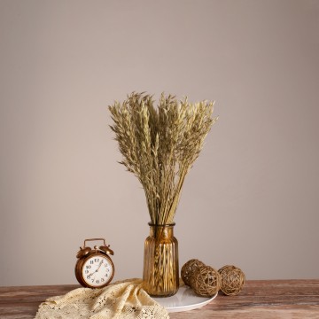 WILDOAT  Αποξηραμένο Φυτό Αγριοβρώμη - Μπουκέτο Διακοσμητικών Κλαδιών Μπεζ - Πράσινο Υ60cm