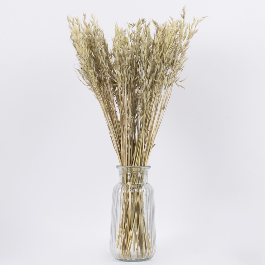 WILDOAT  Αποξηραμένο Φυτό Αγριοβρώμη - Μπουκέτο Διακοσμητικών Κλαδιών Μπεζ - Πράσινο Υ60cm