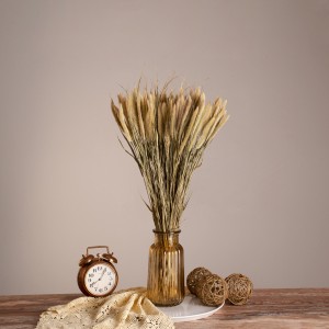 PENNISETUM  Αποξηραμένο Φυτό Πεννήσιο - Μπουκέτο Διακοσμητικών Κλαδιών Μπεζ - Πράσινο Υ60cm