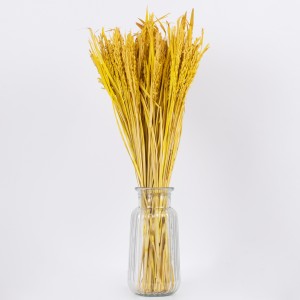 RISEGRASS  Αποξηραμένο Φυτό Ρύζι - Μπουκέτο Διακοσμητικών Κλαδιών Μπεζ - Κίτρινο Υ60cm