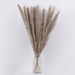 PAMPASGRASS  Αποξηραμένο Φυτό Γρασίδι της Πάμπας - Μπουκέτο Διακοσμητικών Κλαδιών Καφέ - Γκρι Υ80cm
