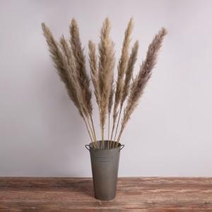 PAMPASGRASS  Αποξηραμένο Φυτό Γρασίδι της Πάμπας - Μπουκέτο Διακοσμητικών Κλαδιών Καφέ - Γκρι Υ150cm