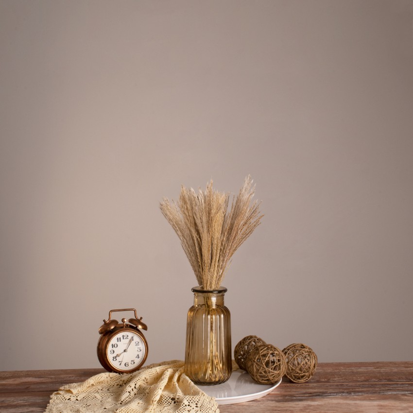 MISCANTHUS  Αποξηραμένο Φυτό Μίσχανθος - Μπουκέτο Διακοσμητικών Κλαδιών Μπεζ Υ40cm