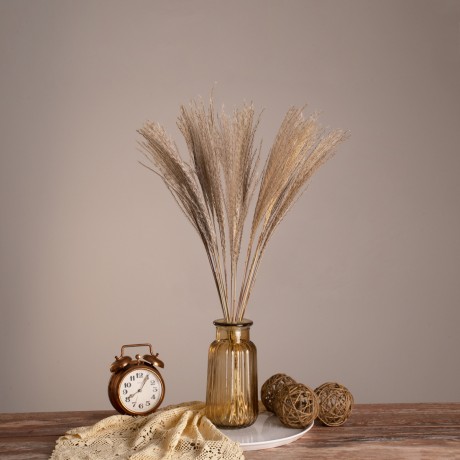 MISCANTHUS  Αποξηραμένο Φυτό Μίσχανθος - Μπουκέτο Διακοσμητικών Κλαδιών Μπεζ Υ60cm