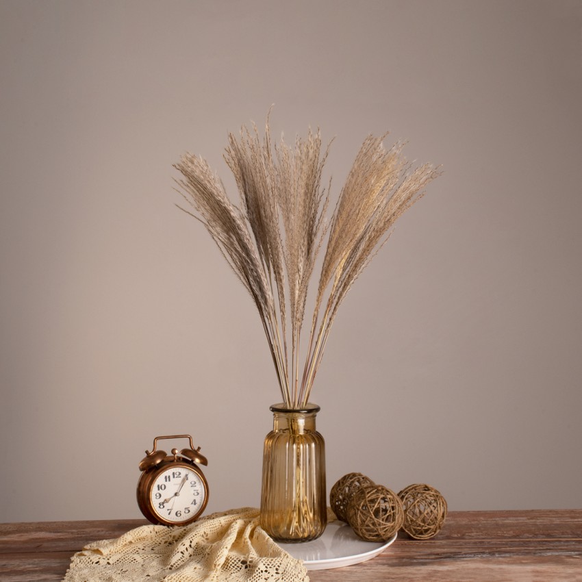 MISCANTHUS  Αποξηραμένο Φυτό Μίσχανθος - Μπουκέτο Διακοσμητικών Κλαδιών Μπεζ Υ60cm