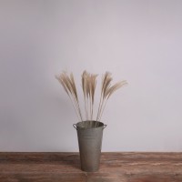 MISCANTHUS  Αποξηραμένο Φυτό Μίσχανθος - Μπουκέτο Διακοσμητικών Κλαδιών Μπεζ Υ100cm