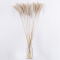 MISCANTHUS  Αποξηραμένο Φυτό Μίσχανθος - Μπουκέτο Διακοσμητικών Κλαδιών Μπεζ Υ100cm