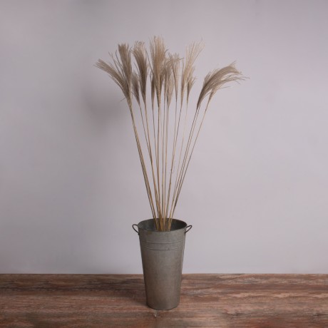 MISCANTHUS  Αποξηραμένο Φυτό Μίσχανθος - Μπουκέτο Διακοσμητικών Κλαδιών Μπεζ Υ140cm