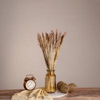 BROOMCORN  Αποξηραμένο Φυτό Γλυκό Σόργο - Μπουκέτο Διακοσμητικών Κλαδιών Μπεζ - Καφέ Υ60cm