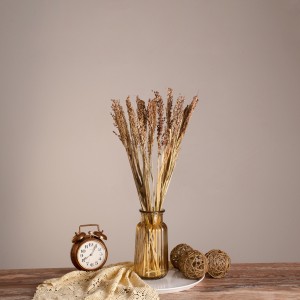 BROOMCORN  Αποξηραμένο Φυτό Γλυκό Σόργο - Μπουκέτο Διακοσμητικών Κλαδιών Μπεζ - Καφέ Υ60cm BROOMCORN  Αποξηραμένο Φυτό Γλυκό Σόργο - Μπουκέτο Διακοσμητικών Κλαδιών Μπεζ - Καφέ Υ60cm