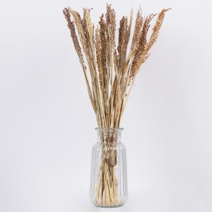 BROOMCORN  Αποξηραμένο Φυτό Γλυκό Σόργο - Μπουκέτο Διακοσμητικών Κλαδιών Μπεζ - Καφέ Υ60cm BROOMCORN  Αποξηραμένο Φυτό Γλυκό Σόργο - Μπουκέτο Διακοσμητικών Κλαδιών Μπεζ - Καφέ Υ60cm