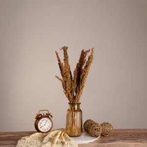 CURLYDOCK  Αποξηραμένο Φυτό Αγριολάπαθο - Μπουκέτο Διακοσμητικών Κλαδιών Μπεζ - Καφέ Υ60cm CURLYDOCK  Αποξηραμένο Φυτό Αγριολάπαθο - Μπουκέτο Διακοσμητικών Κλαδιών Μπεζ - Καφέ Υ60cm