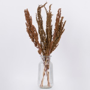 CURLYDOCK  Αποξηραμένο Φυτό Αγριολάπαθο - Μπουκέτο Διακοσμητικών Κλαδιών Μπεζ - Καφέ Υ60cm CURLYDOCK  Αποξηραμένο Φυτό Αγριολάπαθο - Μπουκέτο Διακοσμητικών Κλαδιών Μπεζ - Καφέ Υ60cm