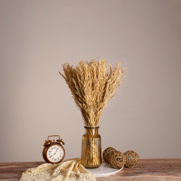 WILDOAT  Αποξηραμένο Φυτό Αγριοβρώμη - Μπουκέτο Διακοσμητικών Κλαδιών Μπεζ Υ60cm