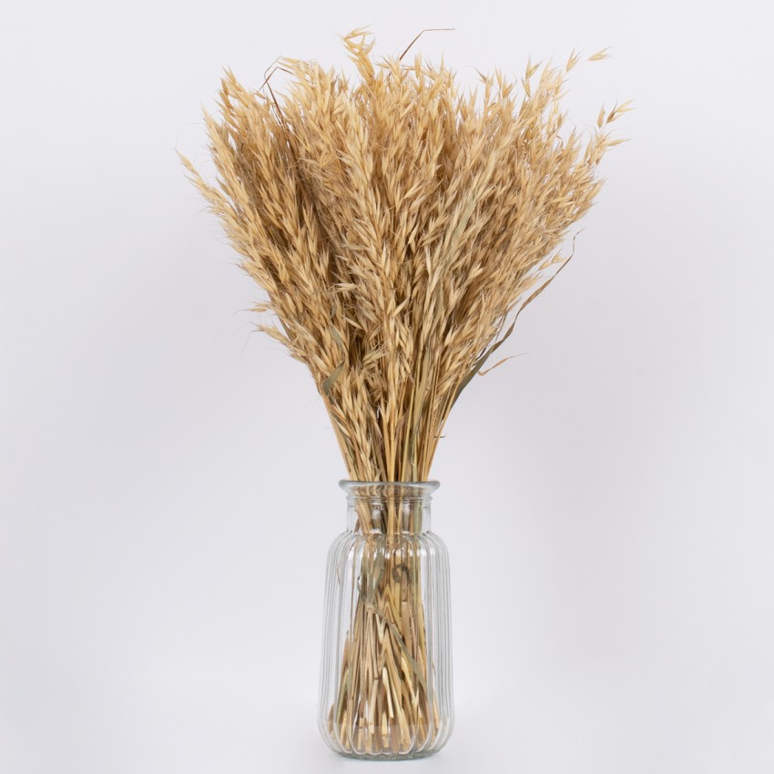 WILDOAT  Αποξηραμένο Φυτό Αγριοβρώμη - Μπουκέτο Διακοσμητικών Κλαδιών Μπεζ Υ60cm
