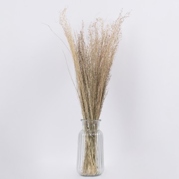SILVERHAIRGRASS  Αποξηραμένο Φυτό Ασημένια Χλόη - Μπουκέτο Διακοσμητικών Κλαδιών Μπεζ Υ60cm