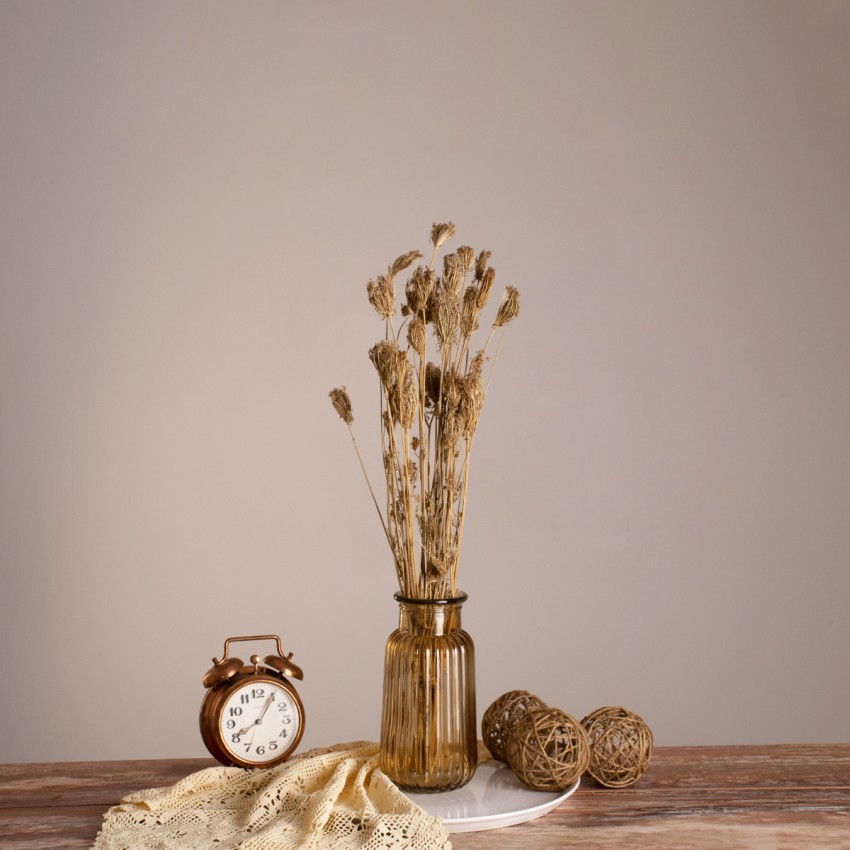 WILDCARROT  Αποξηραμένο Φυτό Άγριο Καρότο - Μπουκέτο Διακοσμητικών Κλαδιών Μπεζ Υ60cm