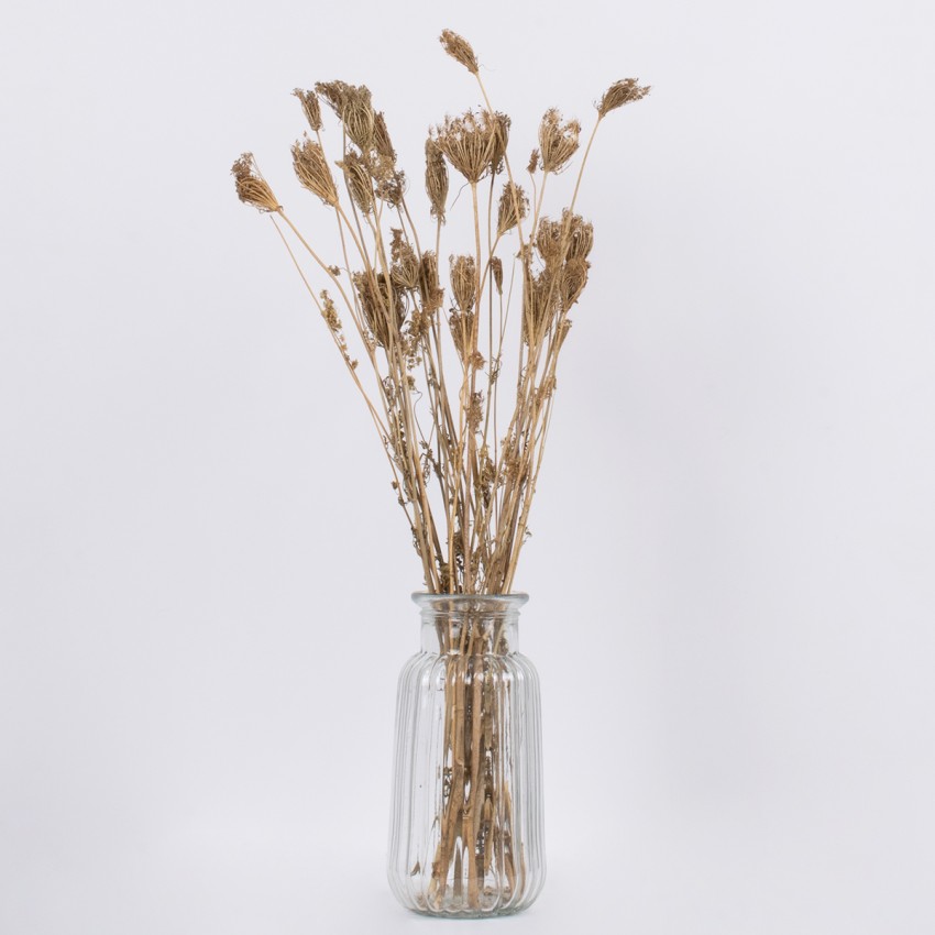 WILDCARROT  Αποξηραμένο Φυτό Άγριο Καρότο - Μπουκέτο Διακοσμητικών Κλαδιών Μπεζ Υ60cm