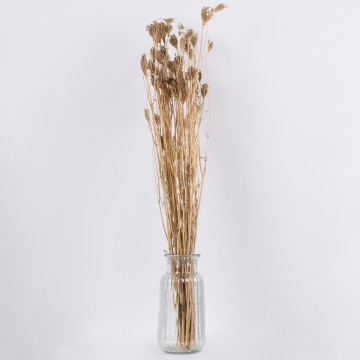 WILDCARROT  Αποξηραμένο Φυτό Άγριο Καρότο - Μπουκέτο Διακοσμητικών Κλαδιών Μπεζ Υ80cm