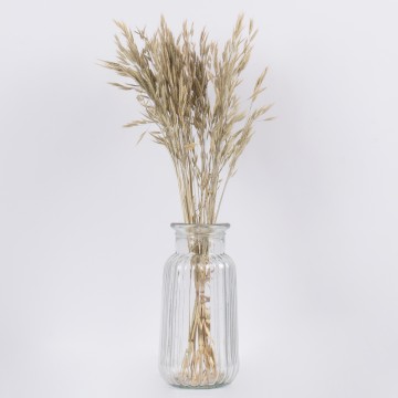 WHEAT  Αποξηραμένο Φυτό Σίτος - Μπουκέτο Διακοσμητικών Κλαδιών Μπεζ - Πράσινο Υ60cm