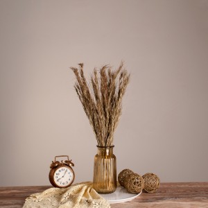 COLATAI  Αποξηραμένο Φυτό Εράγρωστις - Μπουκέτο Διακοσμητικών Κλαδιών Μπεζ - Καφέ Υ60cm COLATAI  Αποξηραμένο Φυτό Εράγρωστις - Μπουκέτο Διακοσμητικών Κλαδιών Μπεζ - Καφέ Υ60cm