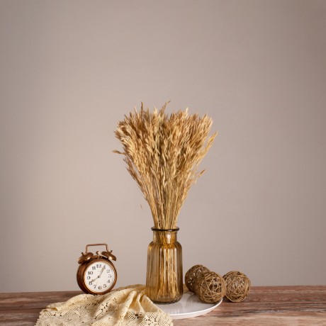 WHEAT  Αποξηραμένο Φυτό Σίτος - Μπουκέτο Διακοσμητικών Κλαδιών Μπεζ Υ60cm