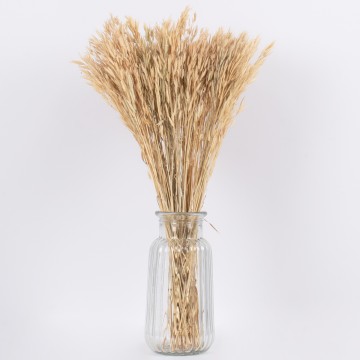 WHEAT  Αποξηραμένο Φυτό Σίτος - Μπουκέτο Διακοσμητικών Κλαδιών Μπεζ Υ60cm