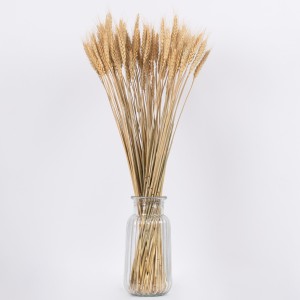 BARLEY  Αποξηραμένο Φυτό Κριθάρι - Μπουκέτο Διακοσμητικών Κλαδιών Μπεζ Υ60cm