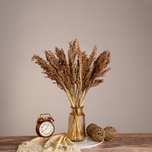 BROOMCORN  Αποξηραμένο Φυτό Γλυκό Σόργο - Μπουκέτο Διακοσμητικών Κλαδιών Καφέ Υ60cm BROOMCORN  Αποξηραμένο Φυτό Γλυκό Σόργο - Μπουκέτο Διακοσμητικών Κλαδιών Καφέ Υ60cm