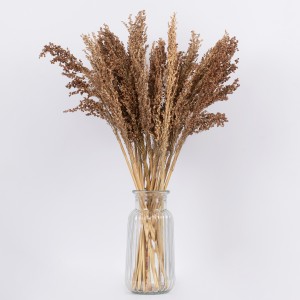 BROOMCORN  Αποξηραμένο Φυτό Γλυκό Σόργο - Μπουκέτο Διακοσμητικών Κλαδιών Καφέ Υ60cm BROOMCORN  Αποξηραμένο Φυτό Γλυκό Σόργο - Μπουκέτο Διακοσμητικών Κλαδιών Καφέ Υ60cm