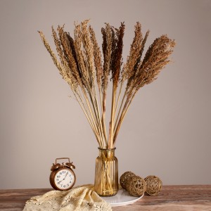BROOMCORN  Αποξηραμένο Φυτό Γλυκό Σόργο - Μπουκέτο Διακοσμητικών Κλαδιών Καφέ Υ80cm BROOMCORN  Αποξηραμένο Φυτό Γλυκό Σόργο - Μπουκέτο Διακοσμητικών Κλαδιών Καφέ Υ80cm