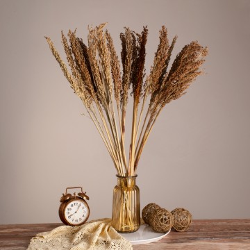 BROOMCORN  Αποξηραμένο Φυτό Γλυκό Σόργο - Μπουκέτο Διακοσμητικών Κλαδιών Καφέ Υ80cm