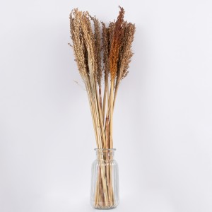 BROOMCORN  Αποξηραμένο Φυτό Γλυκό Σόργο - Μπουκέτο Διακοσμητικών Κλαδιών Καφέ Υ80cm BROOMCORN  Αποξηραμένο Φυτό Γλυκό Σόργο - Μπουκέτο Διακοσμητικών Κλαδιών Καφέ Υ80cm