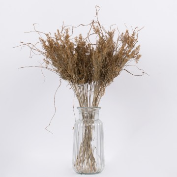 FERNGRASS  Αποξηραμένο Φυτό Φτερόχορτο - Μπουκέτο Διακοσμητικών Κλαδιών Μπεζ Υ60cm
