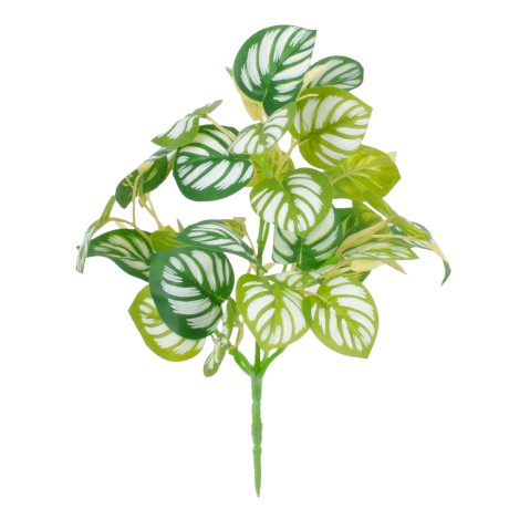 PEPEROMIA L.GREEN  Τεχνητό Φυτό Πεπερόμια Αν.Πρ. - Μπουκέτο Διακοσμητικών Φυτών - Κλαδιών με Φύλλωμα Πράσινο - Κίτρινο - Λευκό Υ28cm