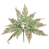 FERN  Τεχνητό Φυτό Φτέρη - Μπουκέτο Διακοσμητικών Φυτών - Κλαδιών με Φύλλωμα Πράσινο - Καφέ Υ45cm