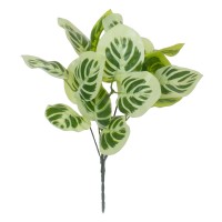 WHITE PEPEROMIA  Τεχνητό Φυτό Πεπερόμια Λευκή - Μπουκέτο Διακοσμητικών Φυτών - Κλαδιών με Φύλλωμα Πράσινο - Λευκό Υ33cm