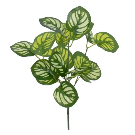 GREEN PEPEROMIA  Τεχνητό Φυτό Πεπερόμια Πράσινη - Μπουκέτο Διακοσμητικών Φυτών - Κλαδιών με Φύλλωμα Πράσινο - Λευκό Υ33cm