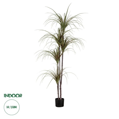 Τεχνητός Κήπος DRAGON BLOOD TREE  - Τεχνητό Διακοσμητικό Φυτό Δράκαινα Υ180cm
