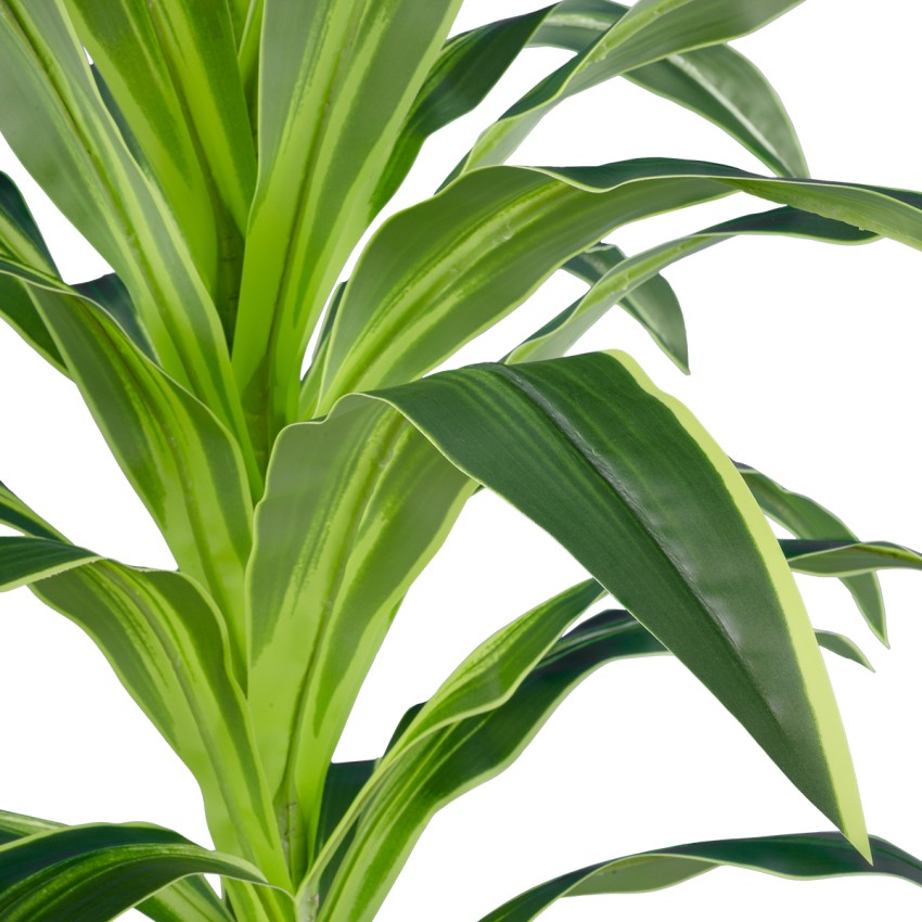 Τεχνητός Κήπος BRAZILIAN IRON  - Τεχνητό Διακοσμητικό Φυτό Αρωματική Δράκαινα Υ140cm